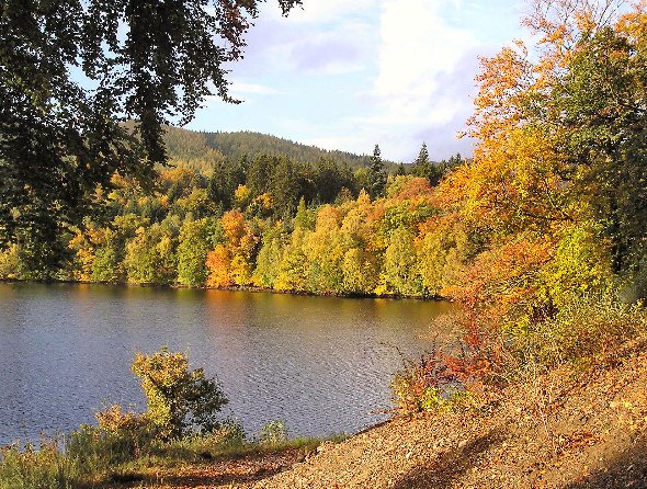 Loch Faskally surrounded by autumn woodland near Pitlochry